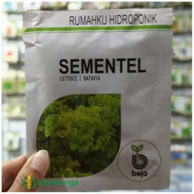 Benih Bejo Bibit Selada SEMENTEL Pack 1000 Biji Pill Import Hidroponik