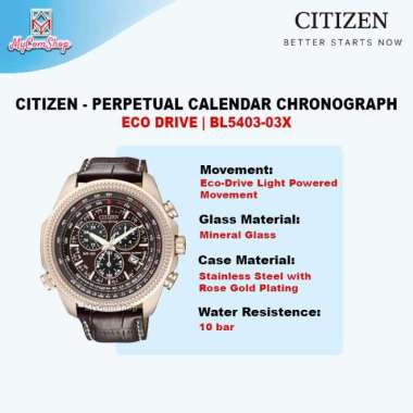 CITIZEN ECO DRIVE PERPETUAL CALENDAR CHRONOGRAPH