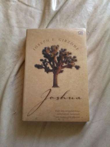 Joshua - Joseph F. Girzone