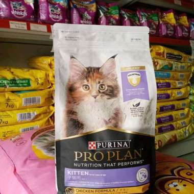 Proplan Kitten Makanan Kucing Kering