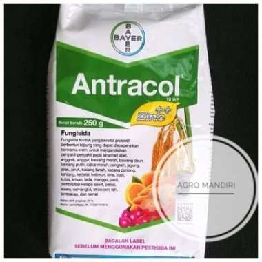 Antracol 70 WP 250 Gram Fungisida Kontak Pembasmi Jamur