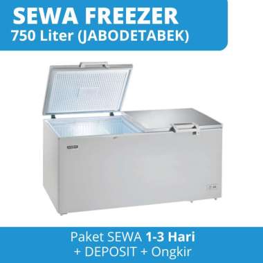 SEWA (Paket 1 - 3 Hari ) Freezer 750 Liter RSA CF750 GEA Modena Murah BEKASI