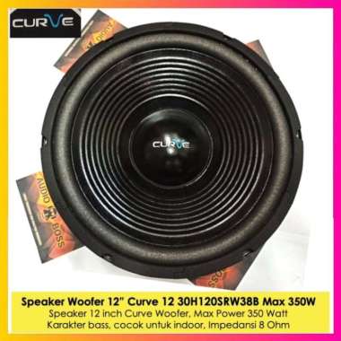 Speaker 12 Inch Curve Woofer 350 Watt - Speaker Curve 12" Woofer 350W
