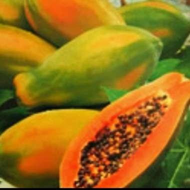 Pepaya Thailand/ Pepaya Bangkok Buah Segar Ibaza fruitsBOX - 1 butir buah Pepaya Bangkok