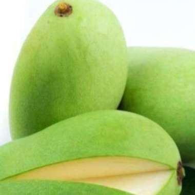 Buah Mangga Muda Buah Segar Ibaza fruitsBOX - 1 kg Buah Mangga Muda