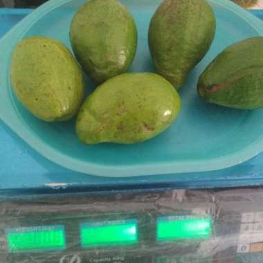 Buah Alpukat Mentega