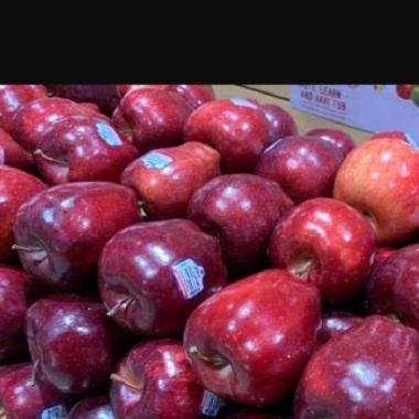 Apel merah Washington