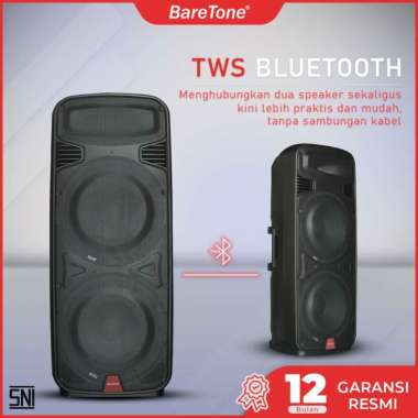 Speaker Portable BareTone PM215 / PM 215 / PM-215 2 X 15INCH