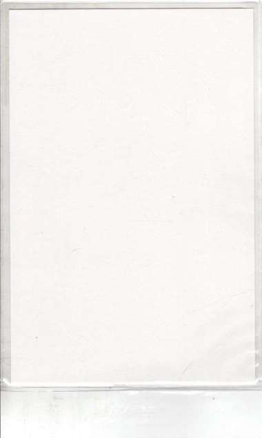 ultra pro comic preserver 7" x 10" backing board and plastic Multicolor