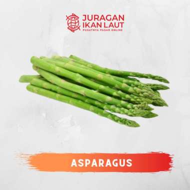 Sayuran Asparagus Segar Berkualitas - 500 Gram