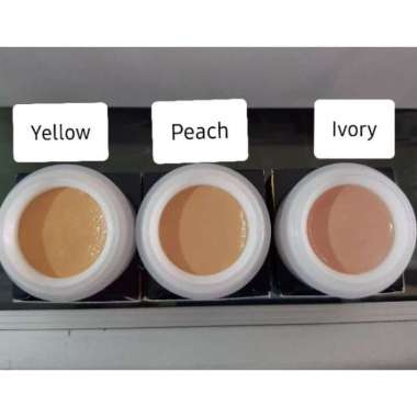 Ranee Cover Foundation 15G Ivory