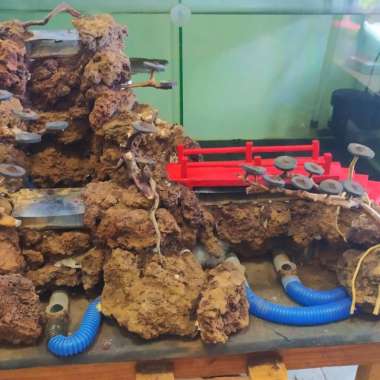 harscape waterfall/air terjun aquascape Multicolor