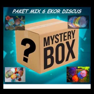Paket Mix 6 Ekor Discus 1 inch Multicolor