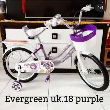 sepeda anak perempuan ukuran 18 sepeda anak cewek sepeda evergreen - Multicolor