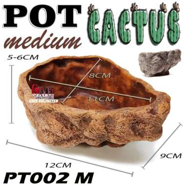 POT KAKTUS SUKULEN RELIEF UKIR MEDIUM/ SMALL TEMPAT WADAH TANAMAN HIAS POHON CACTUS HAWORTHIA CANDI 