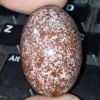 Akik Natural Batu Jasper Garut Klawing Motif Gambar Telur Kodok Antik8