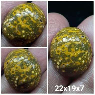 Akik Natural Batu Jasper Garut Klawing Motif Gambar Telur Kodok Antik3