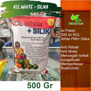 Pupuk Kcl White Silika 500 Gram Anti Rebah Batang