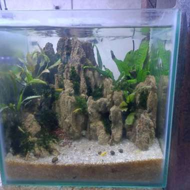 Aquarium Aquascape Mini Iwagumi 30x25x30 cm # 1