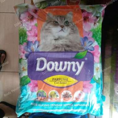 Pasir Wangi Downy 5,5L