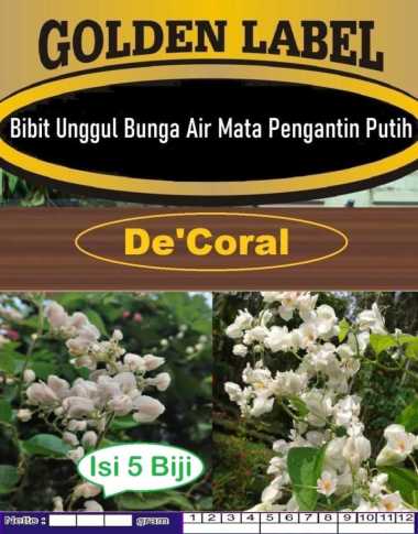 Bibit Bunga Air Mata Pengantin | Biji Benih Bunga Air Mata Pengantin