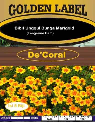 Bibit Bunga Marigold Tangerine Gem|Benih Bunga Marigold Tangerine Gem