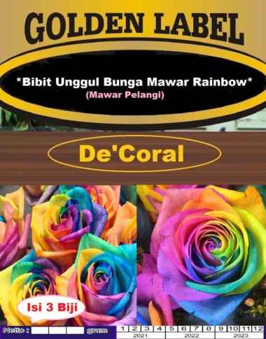 Bibit Bunga Mawar Rainbow | Benih Bunga Mawar Pelangi | Rainbow Rose
