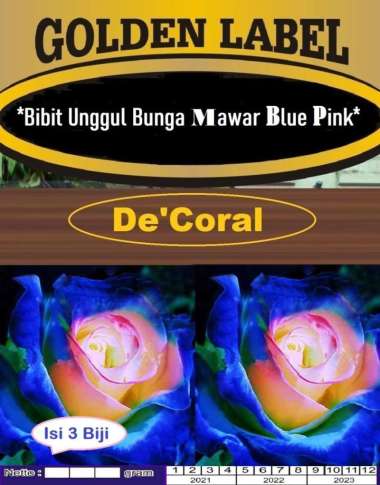 Bibit Bunga Mawar Blue PInk|Benih Bunga Mawar Biru Pink|Blue Pink Rose