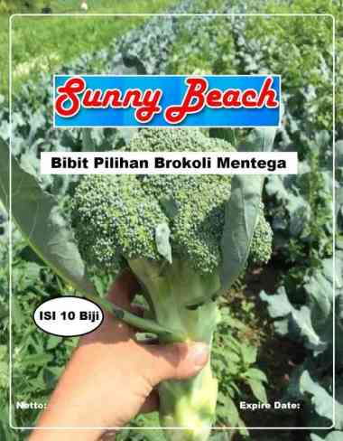 Bibit Pilihan Brokoli Mentega|Biji Benih Brokoli Mentega|Sayur Brokoli