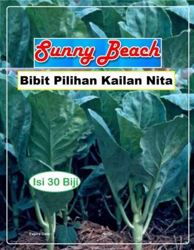Bibit Pilihan Kailan Nita | Biji Benih Kailan | Bibit Sawi Kailan