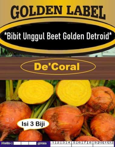Bibit Unggul Beet Golden Detroid|Benih Bit Golden|Bibit Buah Beet
