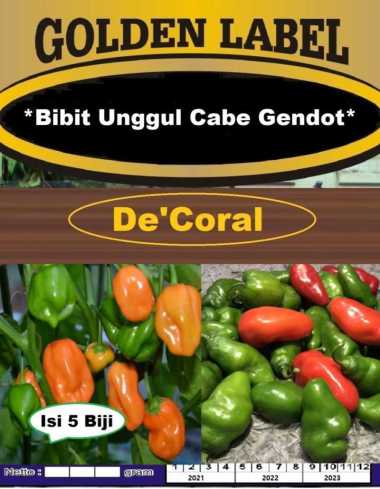 Bibit Unggul Cabe Gendot | Benih Cabe Genjot | Bibit Cabe Gendol