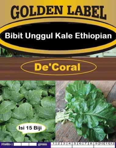 Bibit Unggul Kale Ethiopian|Biji Benih Kale Ethiopia|Kale Etiopia