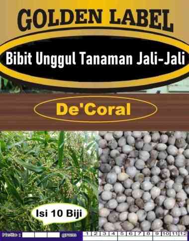 Bibit Unggul Tanaman Jali-jali|Biji Bibit Jali|Bibit barley|Benih Jali