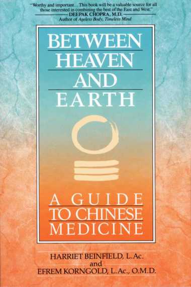 Ebook - Between Heaven and Earth