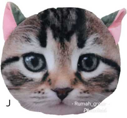 Boneka Kucing Lucu Boneka Kepala Kucing KUCING J