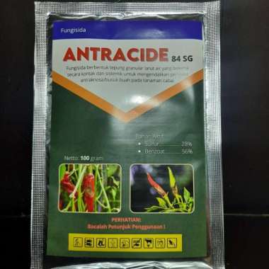 Antracide Fungisida Detacide Antraknosa Pathek 100 gram Multicolor