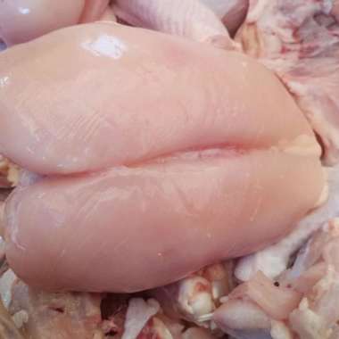 Daging Ayam Dada Fillet 1 kilo Fresh.