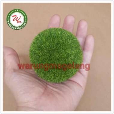 Bola Tanaman sintetis Aquascape Terrarium Marimo Moss Ball Rumput