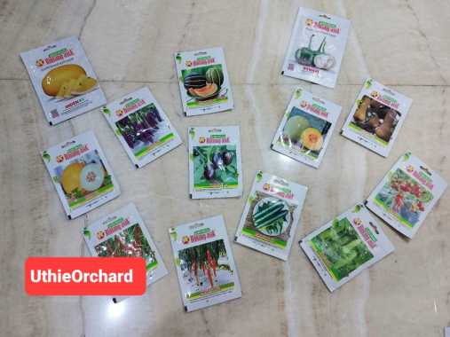 Benih Bintang Asia - Cabe Keriting Ferosa Kemasan 10 gr