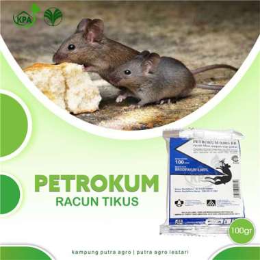 RACUN TIKUS - PETROKUM - AMPUH MATI KERING - TIDAK BAU