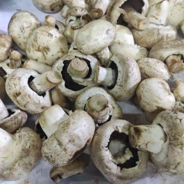 Jamur Champignon/Jamur Kancing 1/2 kg