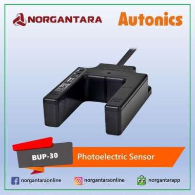Autonics Photo Sensor BUP-30