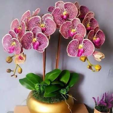 Bunga anggrek latex super premium Rangkaian 2 tangkai pot viber - pink tua Multicolor