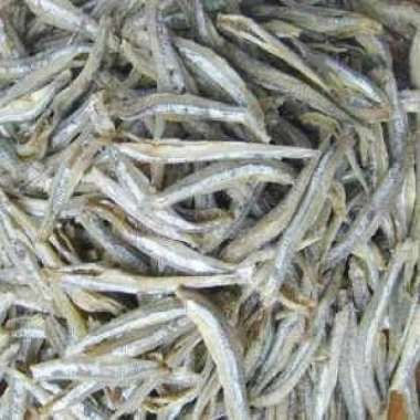 Aneka Ikan Asin Teri per Ons Medan / Lampung / Jengki / Batu / Belah Teri Tawar