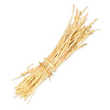 AKAR ALANG ALANG ORGANIK