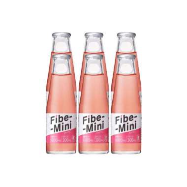 FIBE MINI 6X100ML BTL