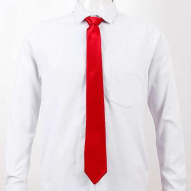 Dasi Formal Pria Satin Untuk Jas dan Kemeja Maroon
