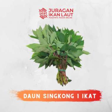 Daun Singkong Segar Berkualitas - 1 Ikat