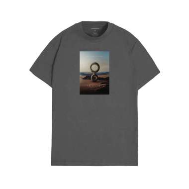 Greenlight Regular Fit T-Shirt Mild Cotton OL-C280723 Grey S